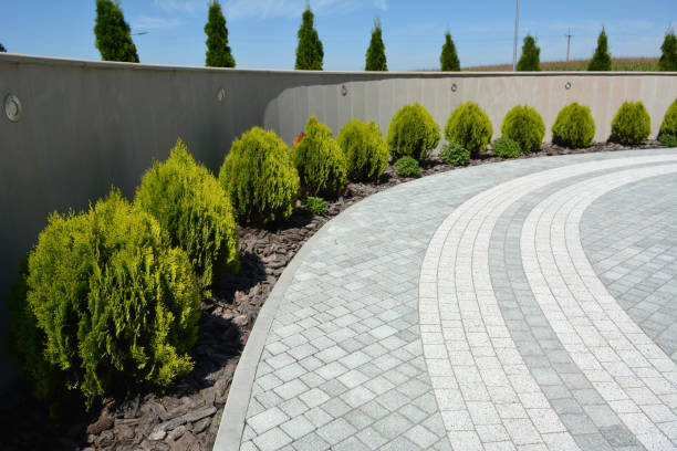 Best Driveway Paving Contractor  in South Hill, VA