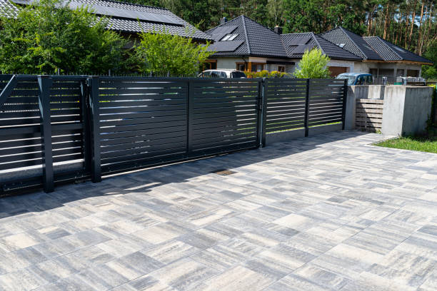 Best Professional Driveway Pavers  in South Hill, VA